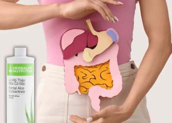 Lô hội Herbalife có mấy vị? Vị nào ngon nhất? - Thời Báo Việt
