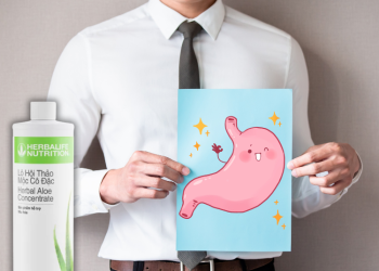 Cách sử dụng lô hội Herbalife đúng chuẩn, đạt hiệu quả cao - Thời Báo Việt