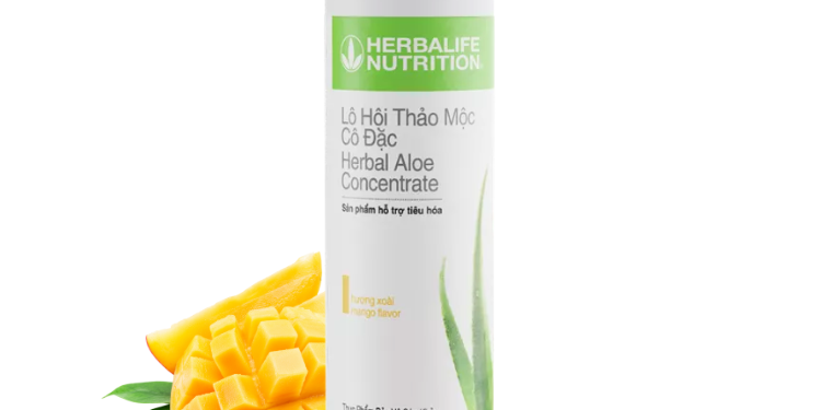 Uống lô hội Herbalife trước hay sau ăn? Thời điểm nào uống là tốt nhất? - Thời Báo Việt