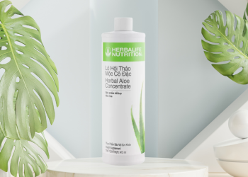 Tác dụng của lô hội Herbalife - Thời Báo Việt