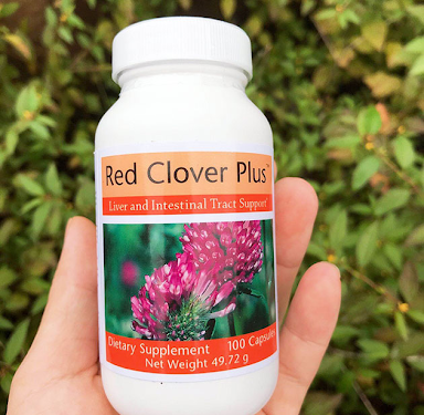 Hướng dẫn cách sử dụng Red Clover Plus chi tiết - Thời Báo Việt
