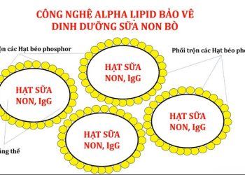 Ưu điểm của công nghệ Alpha Lipid so với các sản phẩm khác Nhà Thuốc Hạnh Phúc - Chuyên Thực Phẩm, Sữa Và Dinh Dưỡng Chính Hãng Giá Tốt - Thời Báo Việt