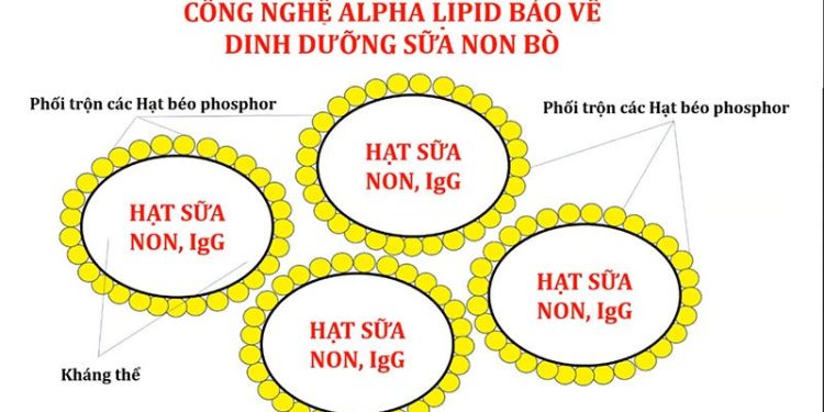 Ưu điểm của công nghệ Alpha Lipid so với các sản phẩm khác Nhà Thuốc Hạnh Phúc - Chuyên Thực Phẩm, Sữa Và Dinh Dưỡng Chính Hãng Giá Tốt - Thời Báo Việt