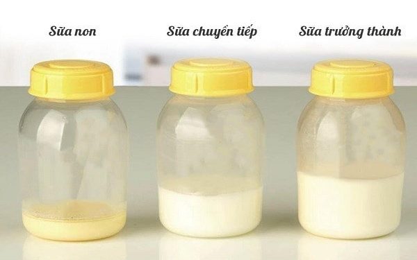 Sữa non là gì? Uống sữa non bao lâu thì có tác dụng? - Thời Báo Việt