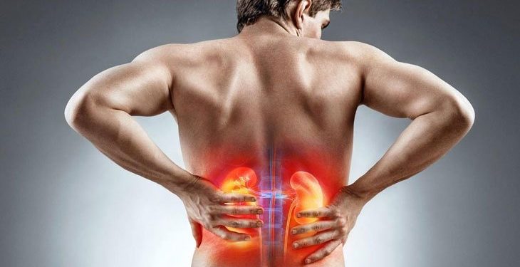 Những câu hỏi thường gặp liên quan đến bệnh suy thận - Thời Báo Việt