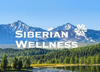 Review Vision Box Siberian chi tiết và đánh giá của người dùng - Thời Báo Việt