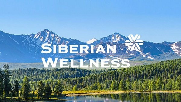 Review Vision Box Siberian chi tiết và đánh giá của người dùng - Thời Báo Việt