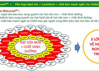 Công nghệ BioLactol là gì? Có tốt không? - Thời Báo Việt