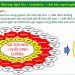 Công nghệ BioLactol là gì? Có tốt không? - Thời Báo Việt