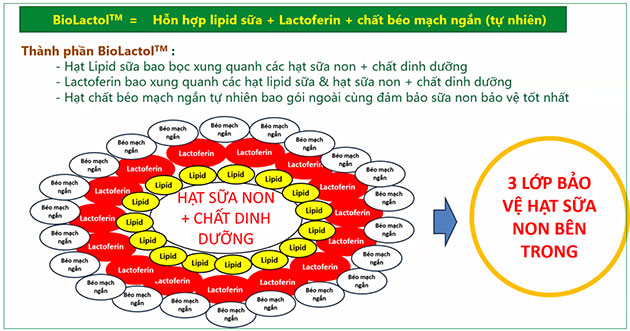 Công nghệ BioLactol là gì? Có tốt không? - Thời Báo Việt