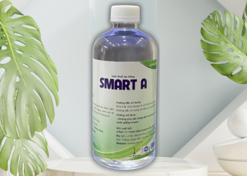 Smart A có tác dụng gì? - Thời Báo Việt
