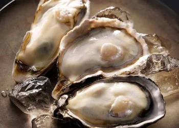 Uống tinh chất hàu có tốt không? 3 loại tinh chất hàu được ưa chuộng nhất - Thời Báo Việt